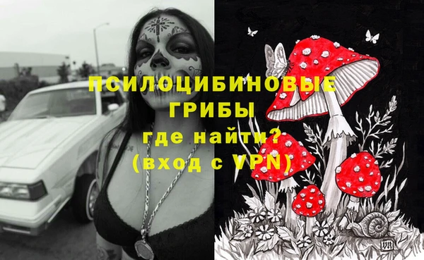 мяу мяу мука Михайлов