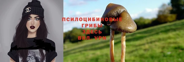 хмурый Михайловка
