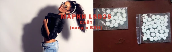 мяу мяу мука Михайлов