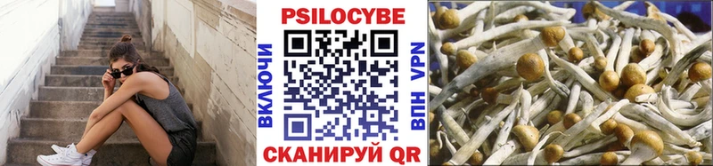 MEGA сайт где купить наркотик Ярославль Галлюциногенные грибы GOLDEN TEACHER
