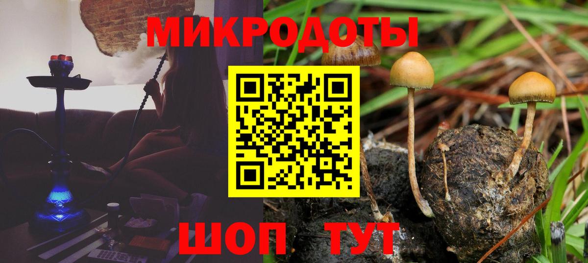 Ярославль  Галлюциногенные грибы GOLDEN TEACHER  Вход с VPN 